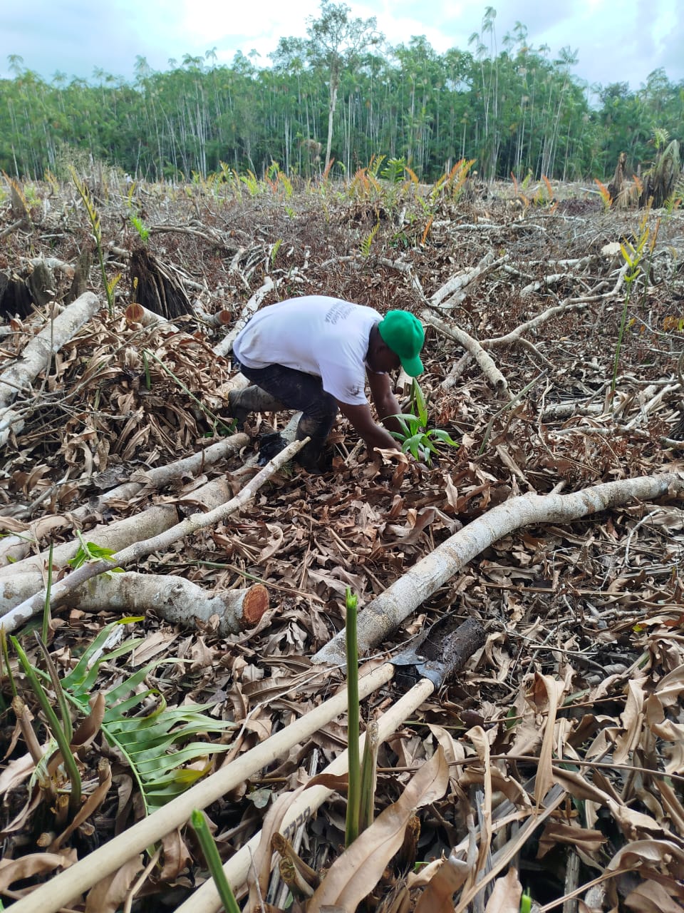 30ffa0fc-9320-41b2-b7e0-d281648150e7